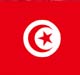 Arab Spring or Islamic State – The Case of Tunisia